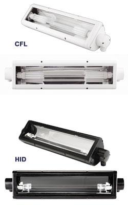 1 Lamp 20wMH